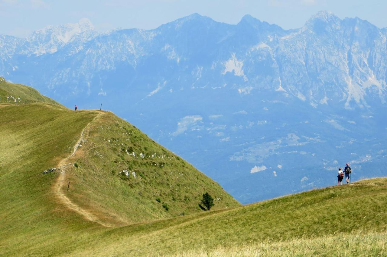 B&B Le Zucche Belluno Exteriör bild